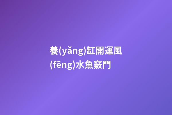養(yǎng)缸開運風(fēng)水魚竅門