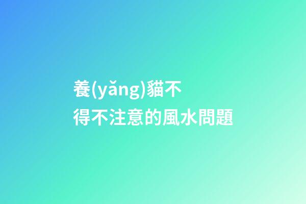 養(yǎng)貓不得不注意的風水問題
