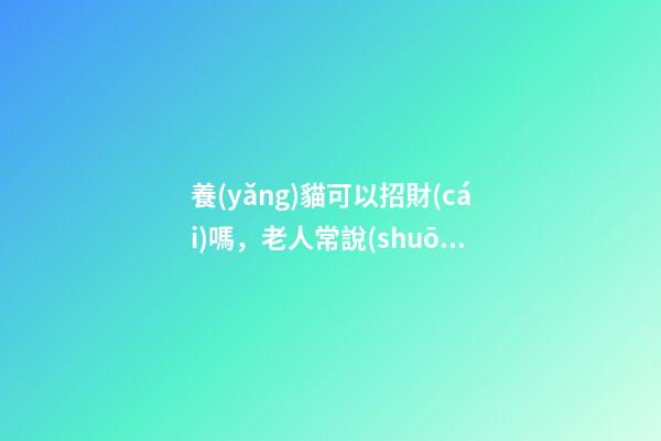 養(yǎng)貓可以招財(cái)嗎，老人常說(shuō)的“旺財(cái)貓”-第1張-觀點(diǎn)-玄機(jī)派