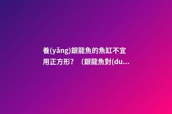 養(yǎng)銀龍魚的魚缸不宜用正方形？（銀龍魚對(duì)魚缸的要求）