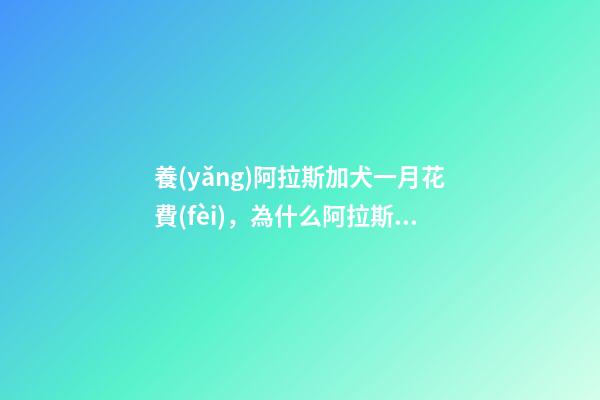 養(yǎng)阿拉斯加犬一月花費(fèi)，為什么阿拉斯加少人養(yǎng)-第1張-觀點(diǎn)-玄機(jī)派
