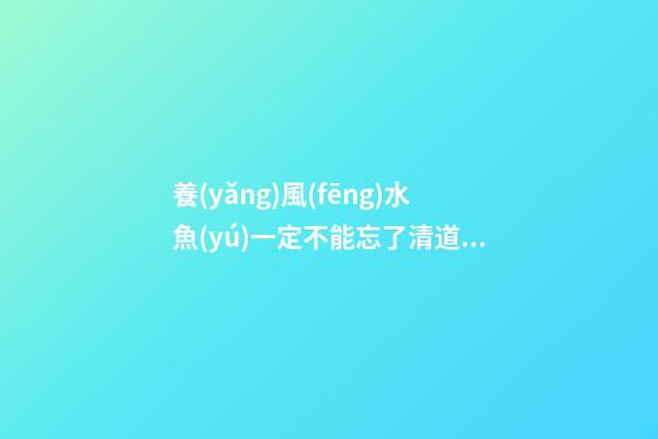 養(yǎng)風(fēng)水魚(yú)一定不能忘了清道夫魚(yú)（清道夫魚(yú)是風(fēng)水魚(yú)嗎）