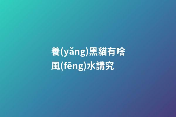 養(yǎng)黑貓有啥風(fēng)水講究