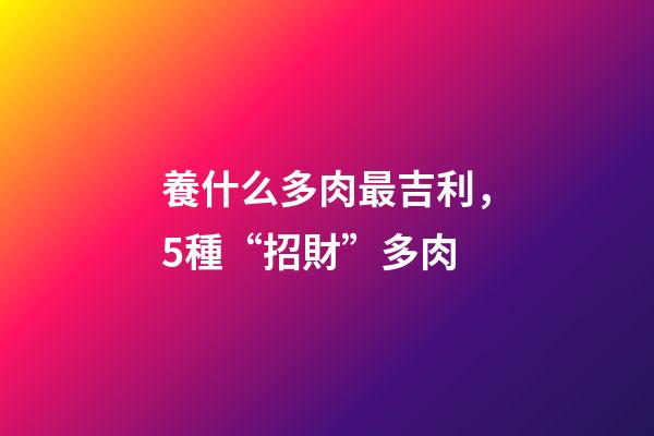 養什么多肉最吉利，5種“招財”多肉-第1張-觀點-玄機派