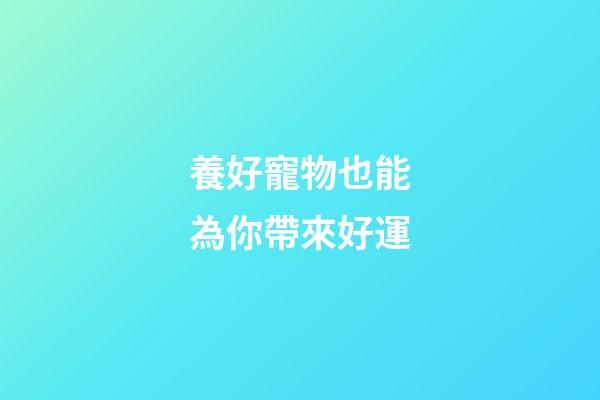 養好寵物也能為你帶來好運
