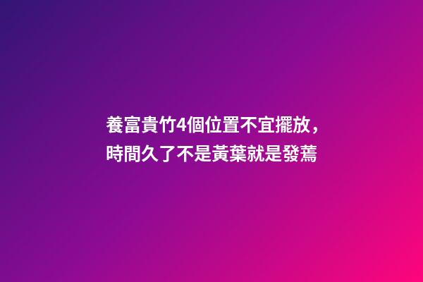 養富貴竹4個位置不宜擺放，時間久了不是黃葉就是發蔫