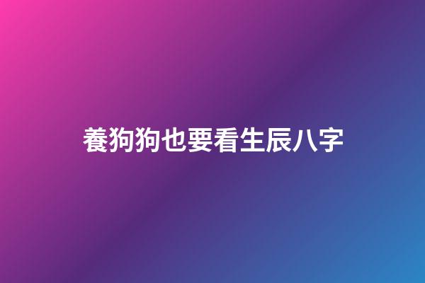 養狗狗也要看生辰八字