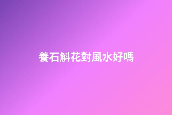 養石斛花對風水好嗎