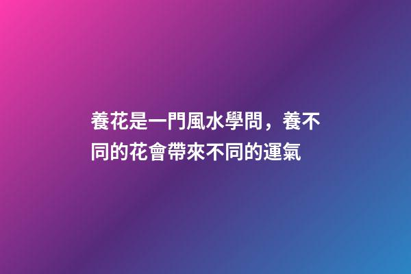 養花是一門風水學問，養不同的花會帶來不同的運氣