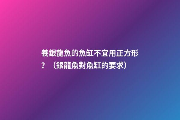 養銀龍魚的魚缸不宜用正方形？（銀龍魚對魚缸的要求）