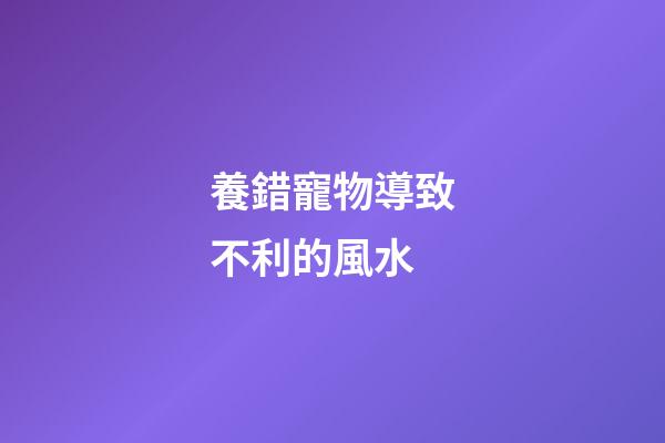 養錯寵物導致不利的風水