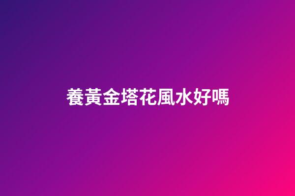 養黃金塔花風水好嗎