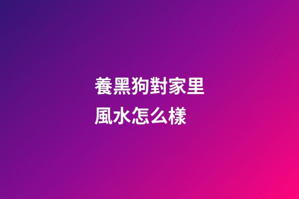 養黑狗對家里風水怎么樣