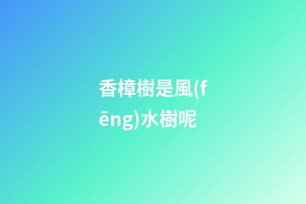 香樟樹是風(fēng)水樹呢