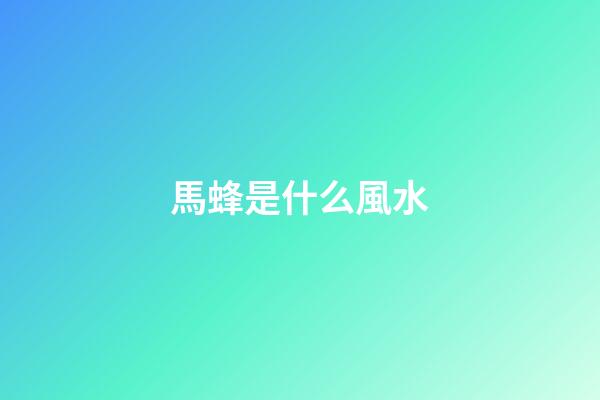 馬蜂是什么風水