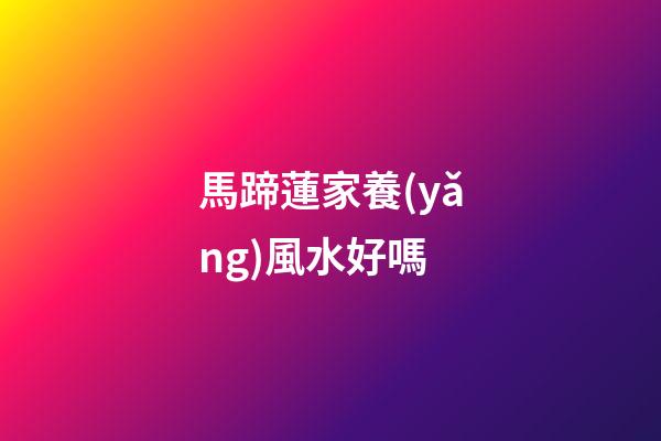 馬蹄蓮家養(yǎng)風水好嗎