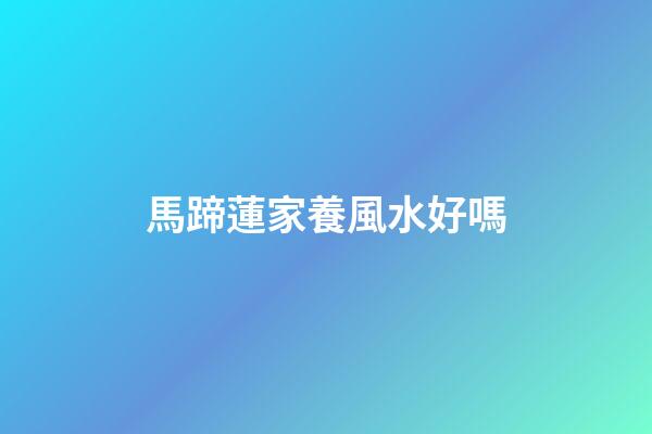 馬蹄蓮家養風水好嗎