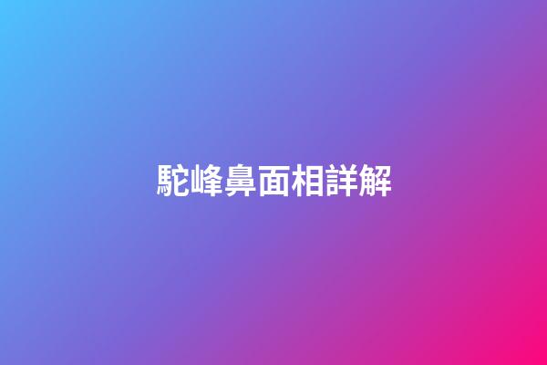 駝峰鼻面相詳解