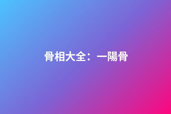 骨相大全：一陽骨