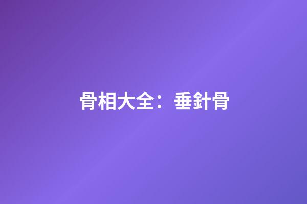 骨相大全：垂針骨