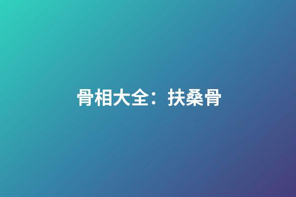 骨相大全：扶桑骨