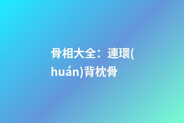 骨相大全：連環(huán)背枕骨