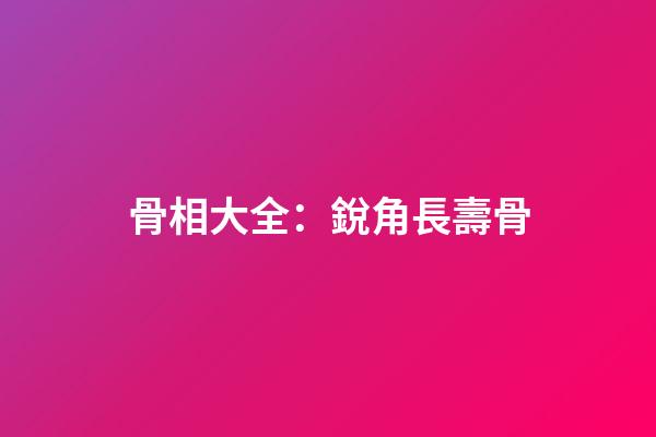 骨相大全：銳角長壽骨