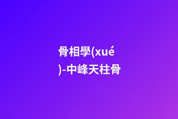 骨相學(xué)-中峰天柱骨
