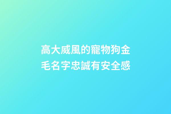 高大威風的寵物狗金毛名字忠誠有安全感