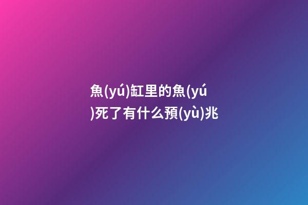 魚(yú)缸里的魚(yú)死了有什么預(yù)兆
