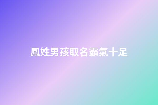 鳳姓男孩取名霸氣十足(鳳姓好聽的名字)-第1張-男孩起名-玄機(jī)派