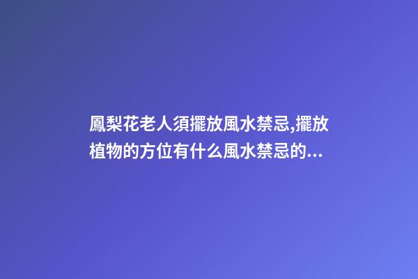 鳳梨花老人須擺放風水禁忌,擺放植物的方位有什么風水禁忌的呢