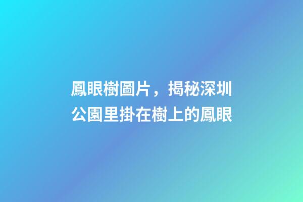 鳳眼樹圖片，揭秘深圳公園里掛在樹上的鳳眼-第1張-觀點-玄機派