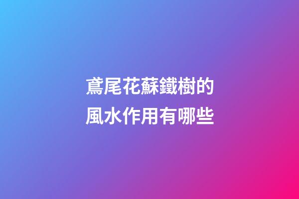 鳶尾花蘇鐵樹的風水作用有哪些?