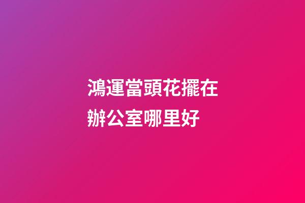 鴻運當頭花擺在辦公室哪里好