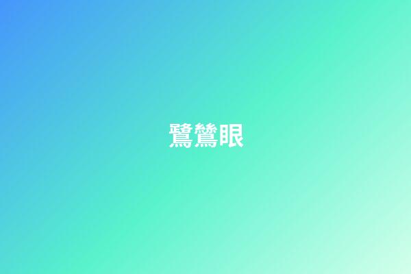 鷺鷥眼