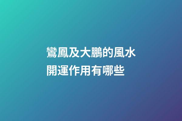 鸞鳳及大鵬的風水開運作用有哪些?
