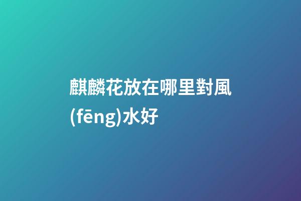 麒麟花放在哪里對風(fēng)水好