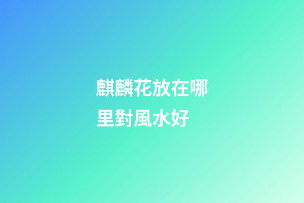 麒麟花放在哪里對風水好