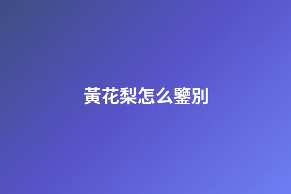 黃花梨怎么鑒別