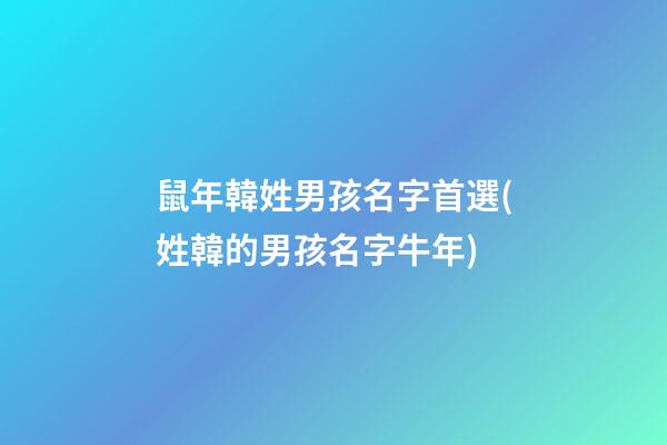鼠年韓姓男孩名字首選(姓韓的男孩名字牛年)