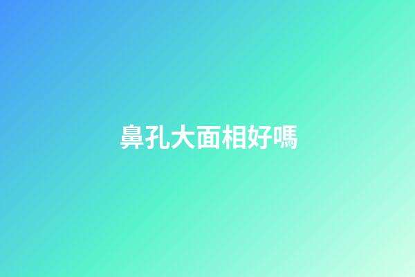 鼻孔大面相好嗎