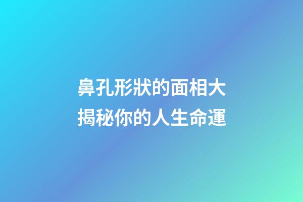 鼻孔形狀的面相大揭秘你的人生命運