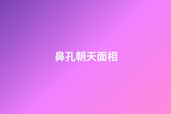 鼻孔朝天面相