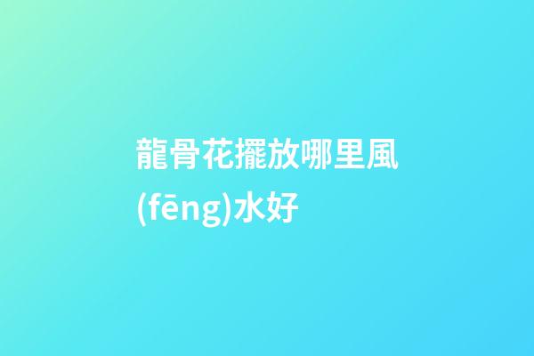 龍骨花擺放哪里風(fēng)水好