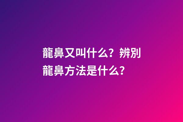 龍鼻又叫什么？辨別龍鼻方法是什么？