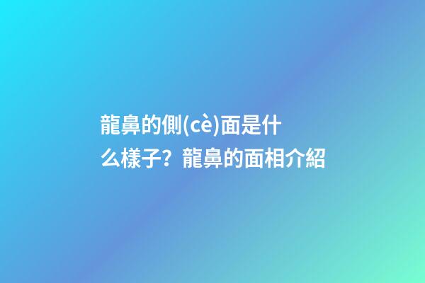 龍鼻的側(cè)面是什么樣子？龍鼻的面相介紹