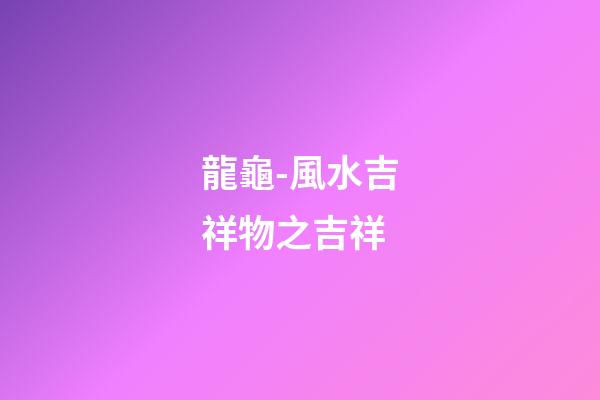 龍龜-風水吉祥物之吉祥