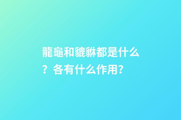 龍龜和貔貅都是什么？各有什么作用？