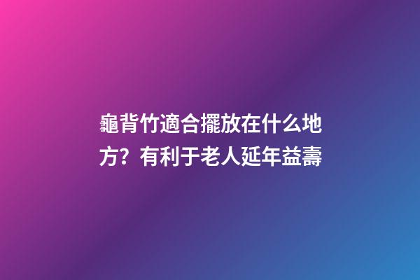 龜背竹適合擺放在什么地方？有利于老人延年益壽